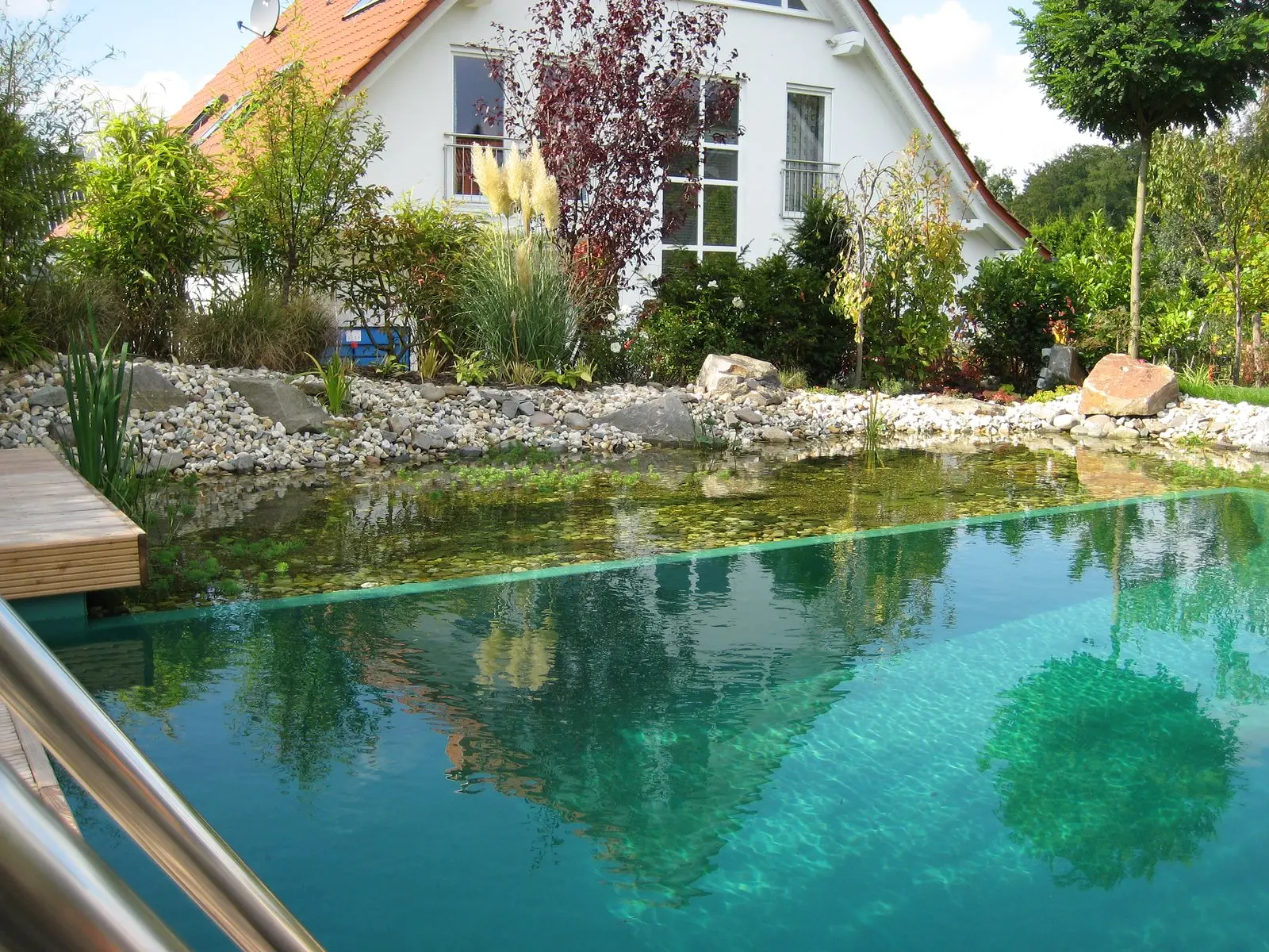 Schwimmteich mit natürlicher Uferzone