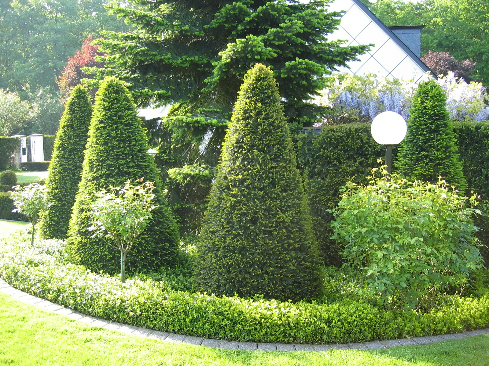 Geometrisch geschnittene Formgehölze in einem grünen Garten